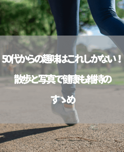 50代からの趣味はこれしかない！散歩と写真で健康も維持のすゝめ